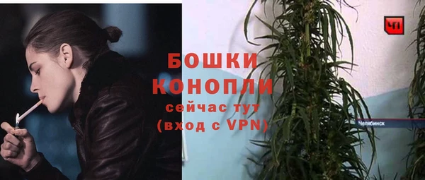 спиды Иннополис