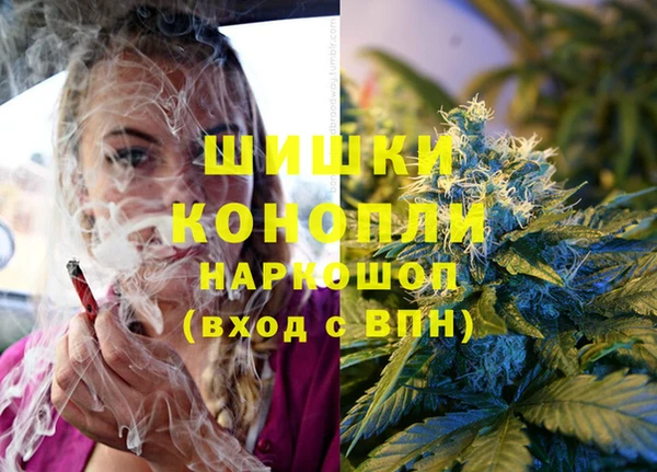 мяу мяу мука Инсар