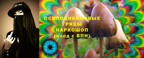 мяу мяу кристалл Инта
