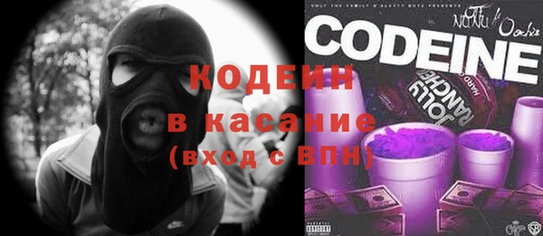 мяу мяу мука Инсар